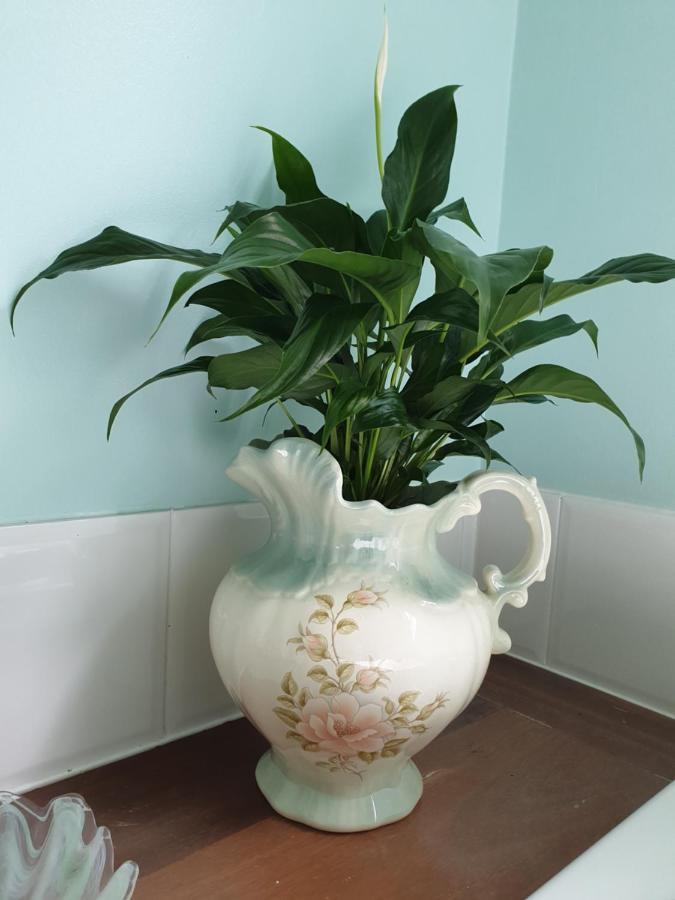 Rosebank Guesthouse Healesville Bagian luar foto