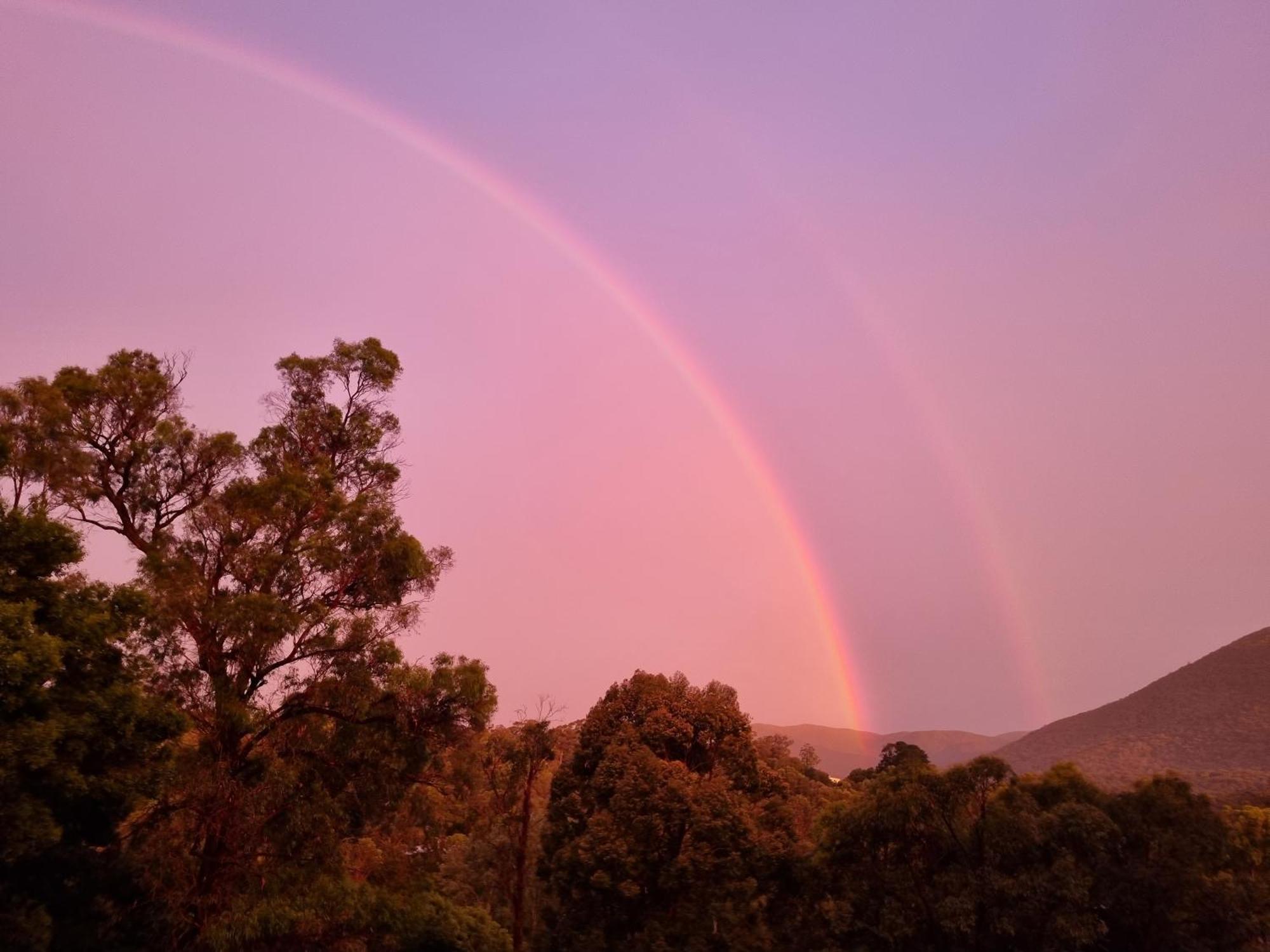 Rosebank Guesthouse Healesville Bagian luar foto