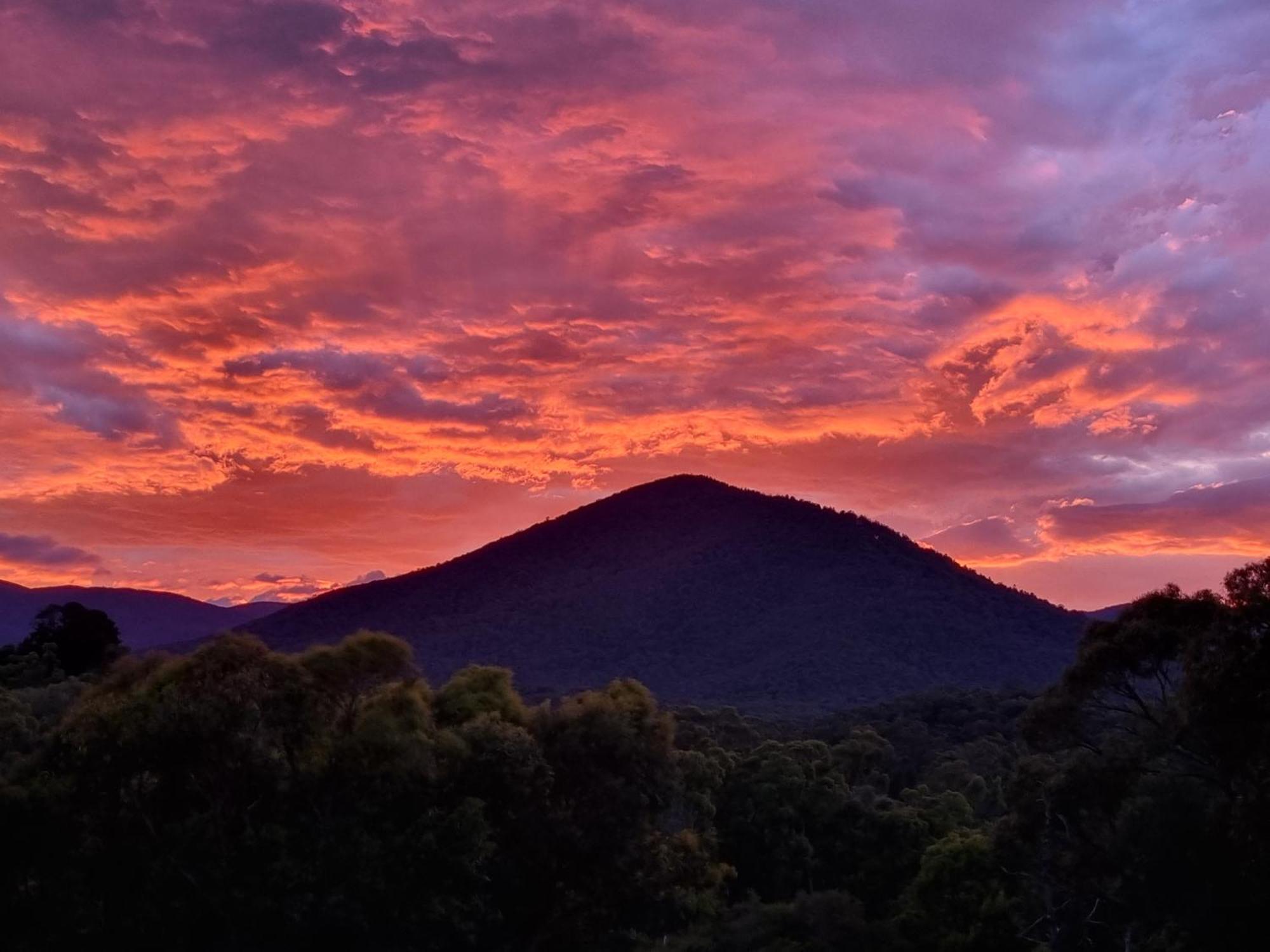 Rosebank Guesthouse Healesville Bagian luar foto
